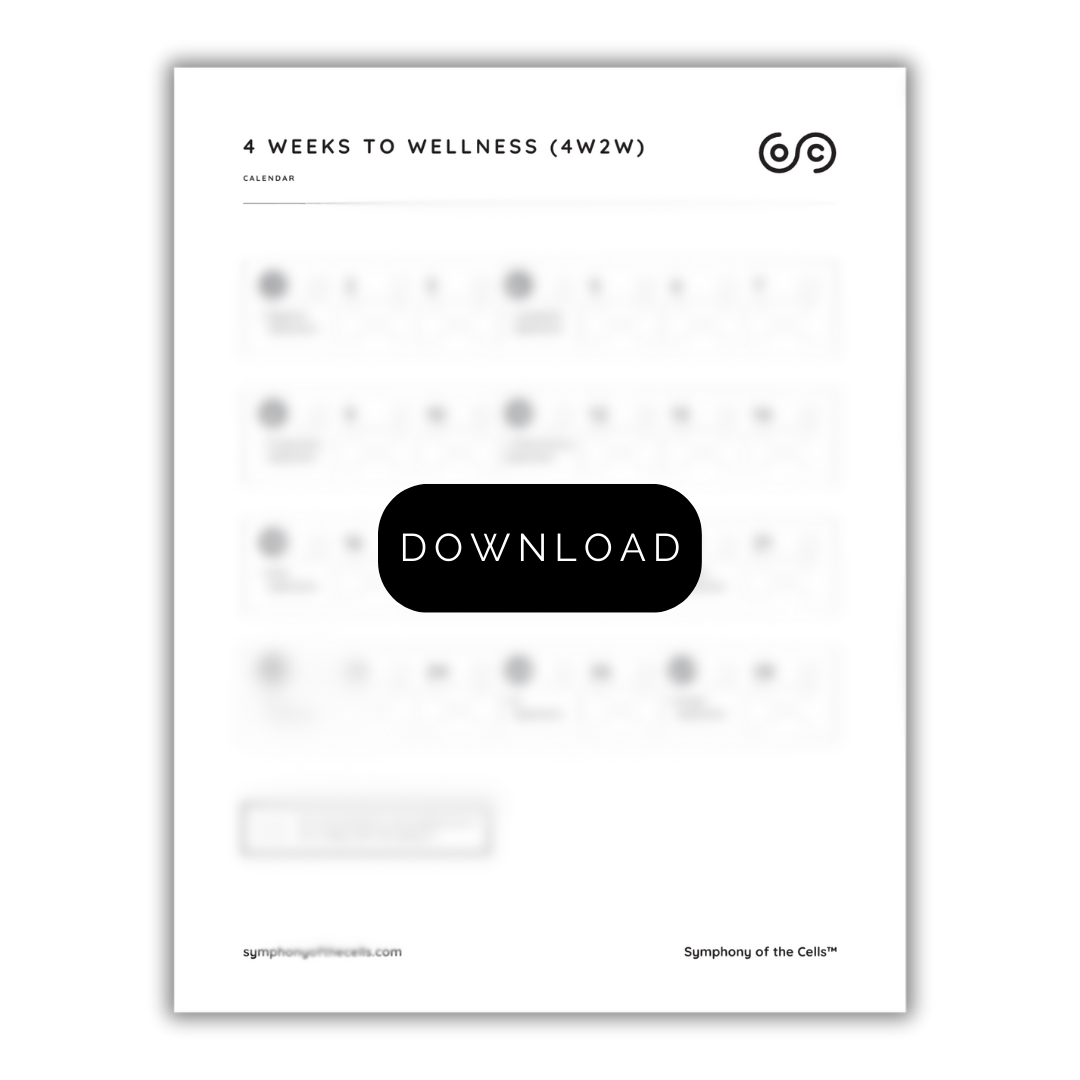 Downloads Bundle