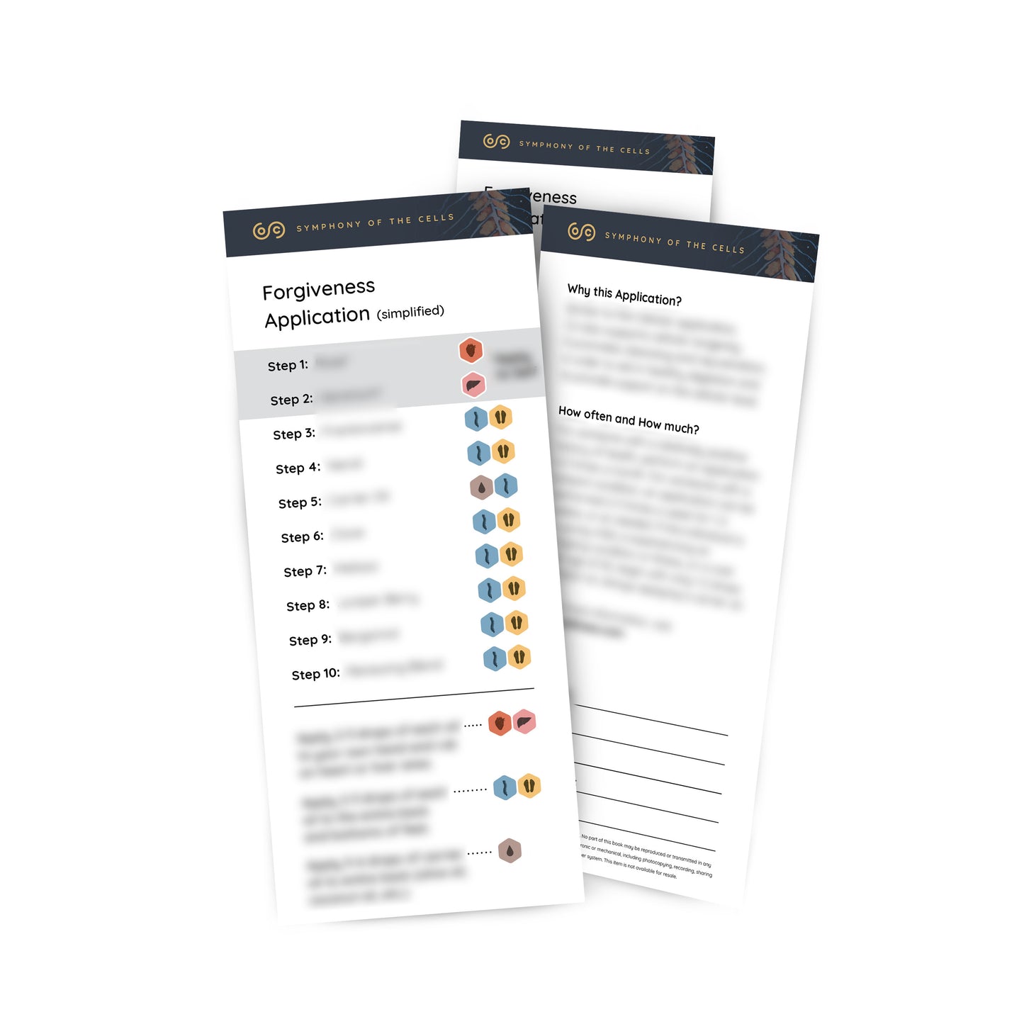 Forgiveness Application Pass-a-long Card - Pack of 5