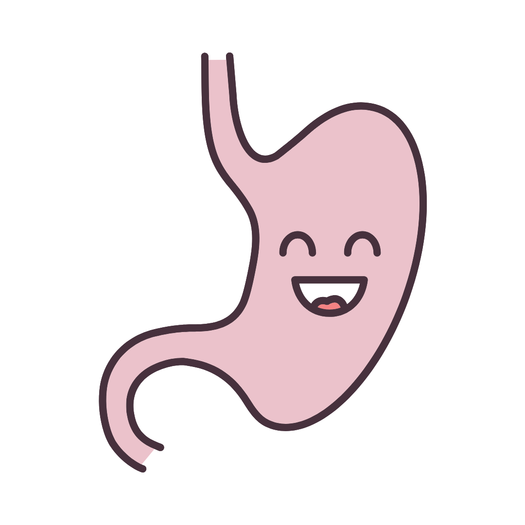 Top 3 SOC Applications To Use For Digestion