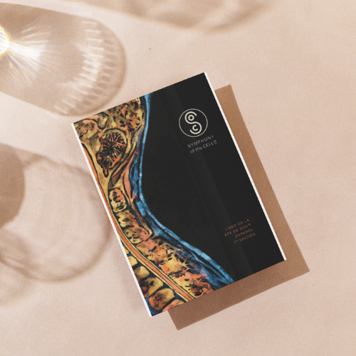 SOC Application Book - Spanish (SOC EVENT)
