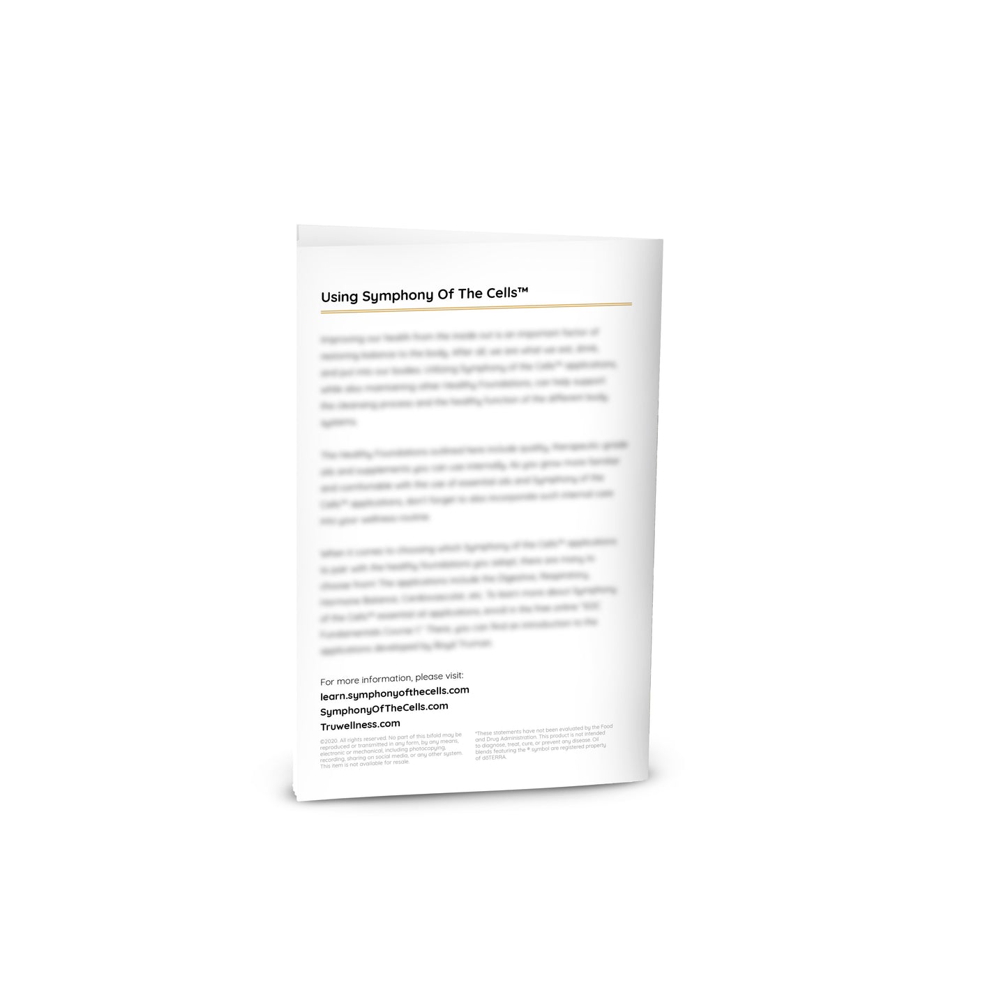 Healthy Foundations Bi-fold