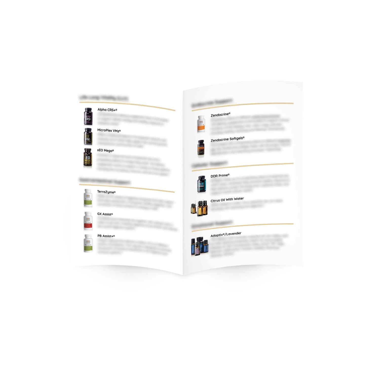 Healthy Foundations Bi-fold