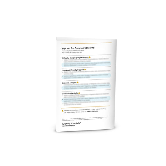 SOC Parent's Guide Bi-fold | 5 pack