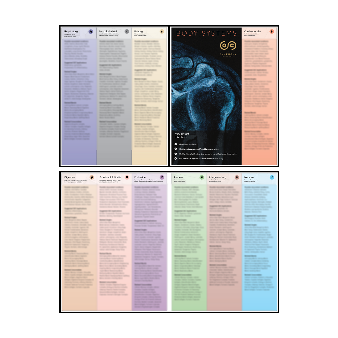 Symphony of the Cells™ Body Systems Chart - EURO