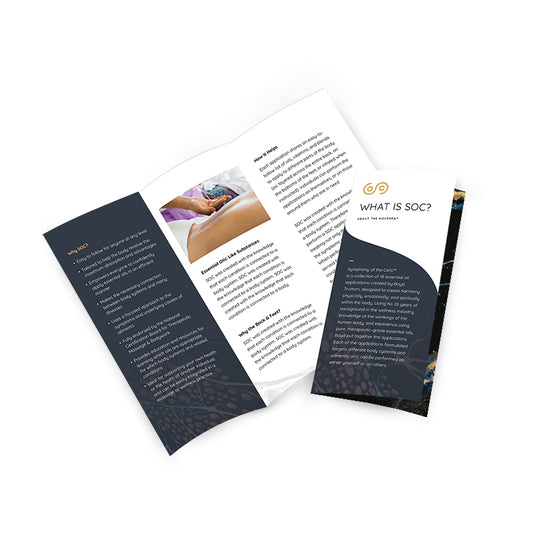 'What is SOC?' - Tri-Fold (Pack of 10)